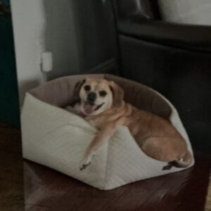 RANDOM PULL LISTING💕💕🧐